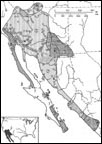 Coleonyx variegatus distribution