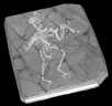 Chinese Fossil Avian