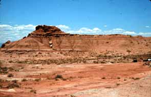 site where Syntarsus was found